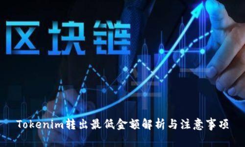 Tokenim转出最低金额解析与注意事项
