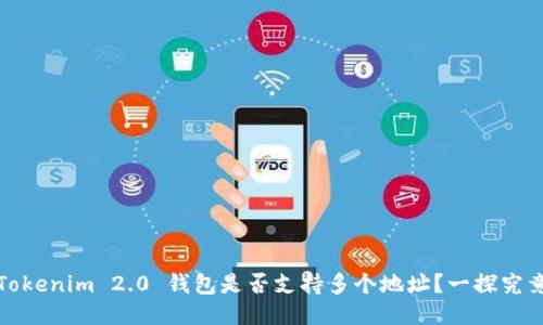 Tokenim 2.0 钱包是否支持多个地址?一探究竟