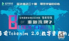 :  深入了解多前Tokenim 2.0：数字资产的未来与应用