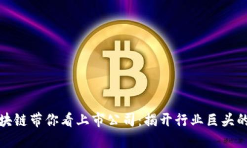爱区块链带你看上市公司：揭开行业巨头的面纱