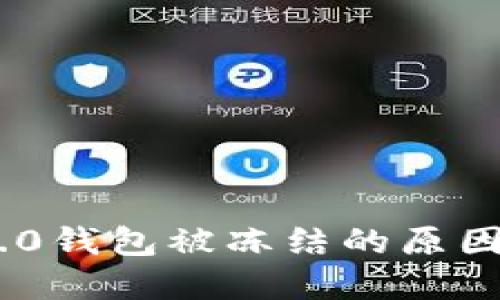 Tokenim 2.0钱包被冻结的原因及解决方案