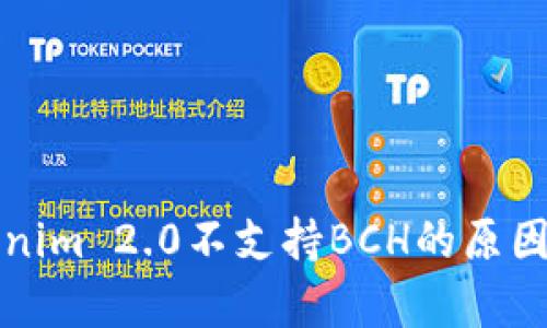 Tokenim 2.0不支持BCH的原因分析