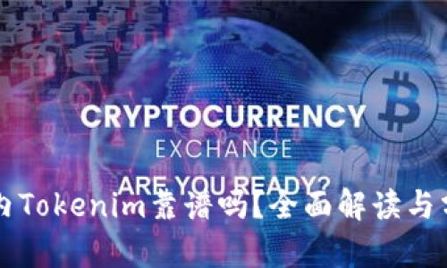 国内Tokenim靠谱吗？全面解读与分析