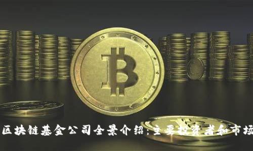 印度区块链基金公司全景介绍：主要投资者和市场动态