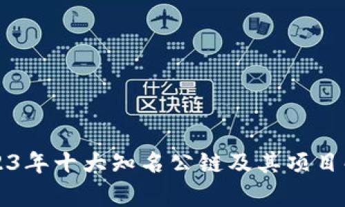 2023年十大知名公链及其项目解析