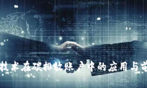 区块链技术在碳排放账户中的应用与前景分析