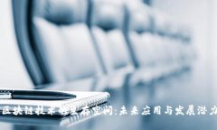 区块链技术的生存空间：未来应用与发展潜力