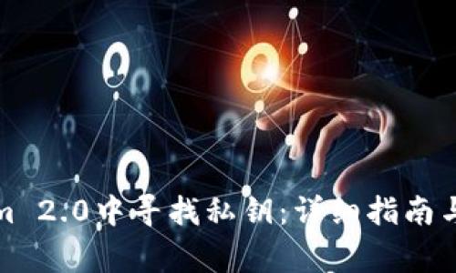 如何在Tokenim 2.0中寻找私钥：详细指南与常见问题解答