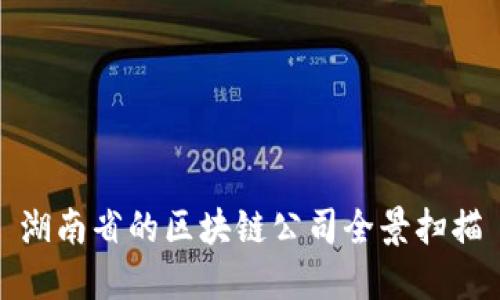 湖南省的区块链公司全景扫描