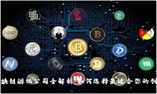 海南区块链孵化公司全解析：如何选择最适合你的创业伙伴