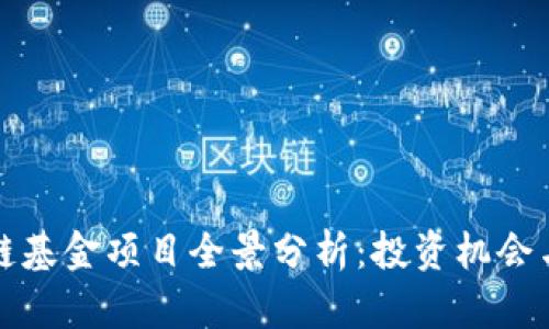 娄底区块链基金项目全景分析：投资机会与合作模式