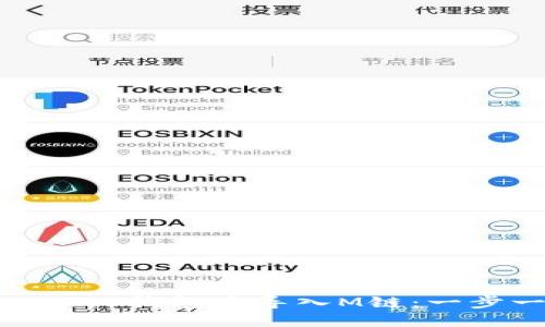 如何在Tokenim 2.0钱包中导入M链：一步一步的详细指南