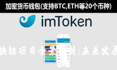 河南洛阳区块链项目全景解析：未来发展的关键趋势
