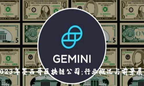 2023年墨西哥区块链公司：行业概况与前景展望