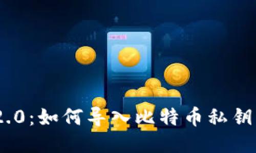 Tokenim 2.0：如何导入比特币私钥的详细指南