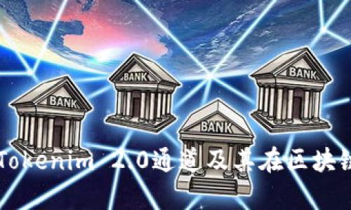 深入解析Tokenim 2.0通道及其在区块链中的应用