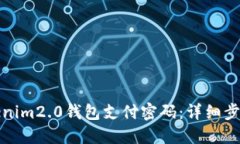 如何找回Tokenim2.0钱包支付密码：详细步骤与解决