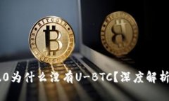 Tokenim 2.0为什么没有U-BTC？深度解析原因与影响