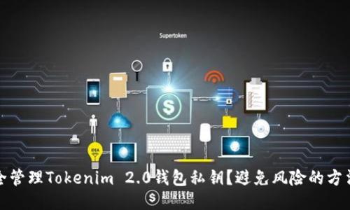 如何安全管理Tokenim 2.0钱包私钥？避免风险的方法与技巧