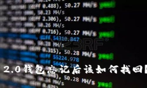 Tokenim 2.0钱包忘记后该如何找回？详细指南