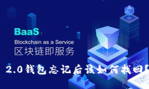 Tokenim 2.0钱包忘记后该如何找回？详细指南