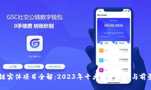 区块链实体项目全解：2023年十大创新应用与前景分析