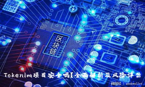 Tokenim项目安全吗？全面解析及风险评估