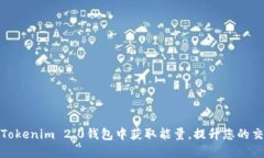 如何在Tokenim 2.0钱包中获取能量，提升您的交易体