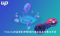 Tokenim被盗能追回吗？揭示安全隐患与解决方案