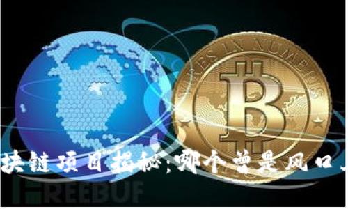 过气的区块链项目揭秘：哪个曾是风口上的浪尖？