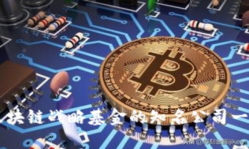 区块链战略基金的知名公司一览