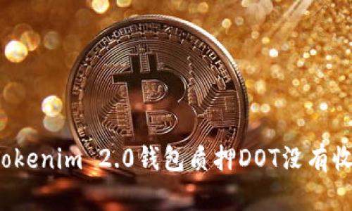 如何解决Tokenim 2.0钱包质押DOT没有收益的问题？