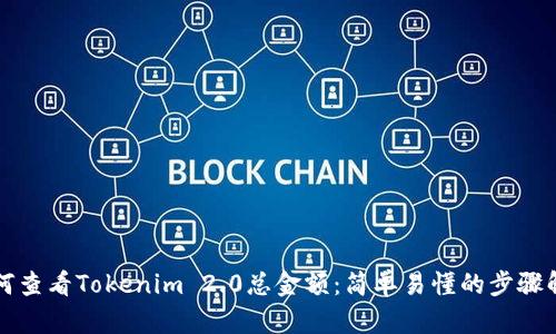 如何查看Tokenim 2.0总金额：简单易懂的步骤解析