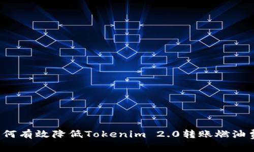 如何有效降低Tokenim 2.0转账燃油费？
