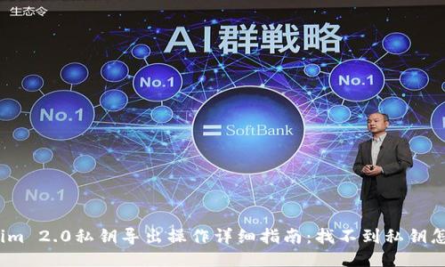 Tokenim 2.0私钥导出操作详细指南：找不到私钥怎么办？