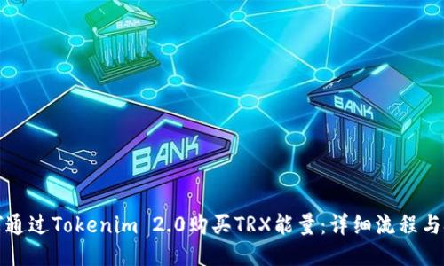 如何通过Tokenim 2.0购买TRX能量：详细流程与技巧
