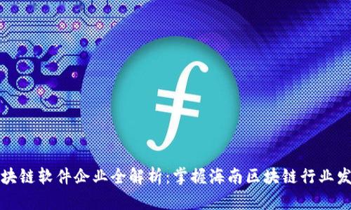 海口区块链软件企业全解析：掌握海南区块链行业发展脉动