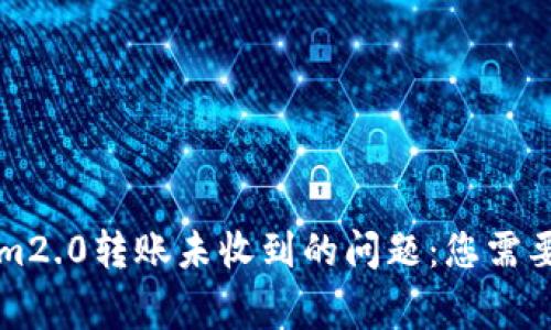 解决Tokenim2.0转账未收到的问题：您需要知道的事项