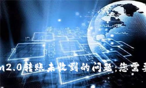 解决Tokenim2.0转账未收到的问题：您需要知道的事项
