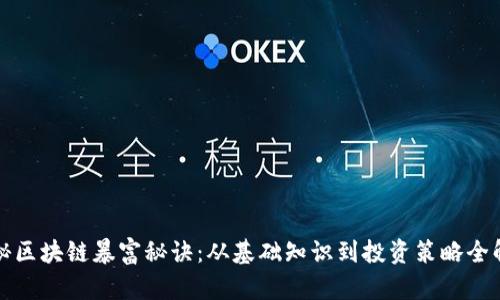 揭秘区块链暴富秘诀：从基础知识到投资策略全解析