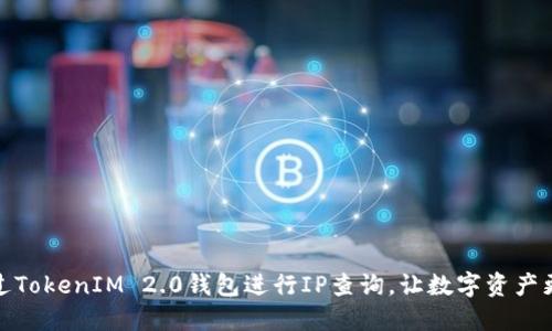 如何通过TokenIM 2.0钱包进行IP查询，让数字资产更加安全