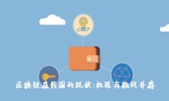 区块链在我国的现状：机遇与挑战并存