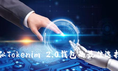 国外类似Tokenim 2.0钱包的最佳选择与比较