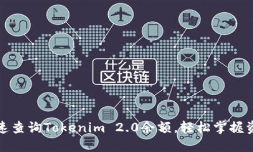 如何快速查询Tokenim 2.0余额，轻松掌握资产动态