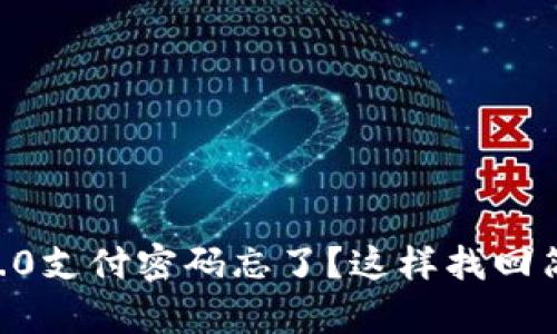 Tokenim2.0支付密码忘了？这样找回简单又安全