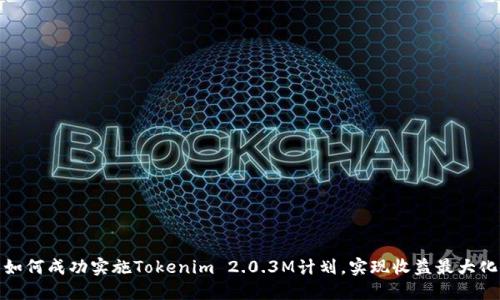 如何成功实施Tokenim 2.0.3M计划，实现收益最大化