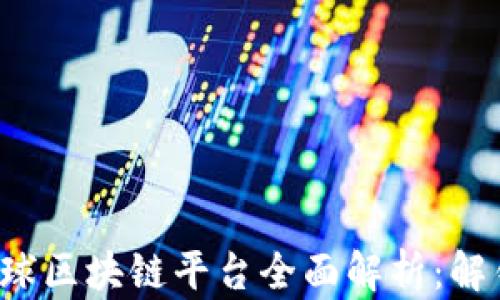 
2023年美国全球区块链平台全面解析：解锁数字货币潜力