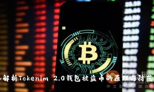 深入解析Tokenim 2.0钱包被盗币的原理与防范技巧