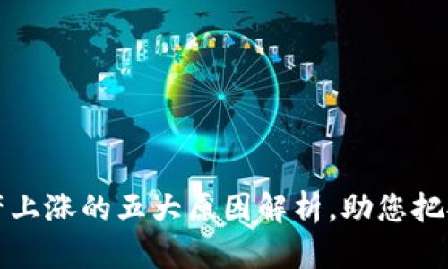 区块链资产上涨的五大原因解析，助您把握投资机会