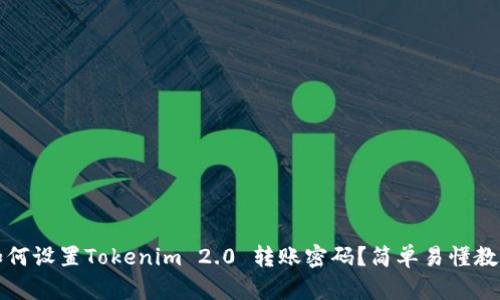 如何设置Tokenim 2.0 转账密码？简单易懂教程